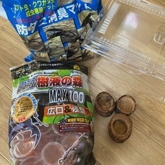 カブトムシ　クワガタ　昆虫　飼育セット