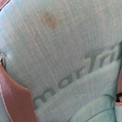 smarTrikeの画像