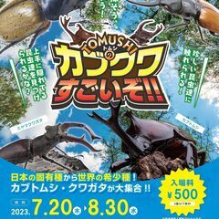 カブクワすごいぞ!!EHIMEの森