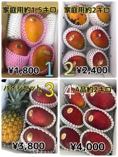 ①【説明文必読】マンゴー1,800円〜4,000円