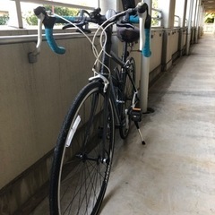 ジャイアント　2012製　PACE Sサイズの画像