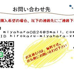 【HIRO工房】瓦屋さんの瓦チップ販売(赤色・黒色)の画像