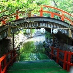 明日7/30(日)京都のみたらし祭りに一緒に行きませんか？(*´...