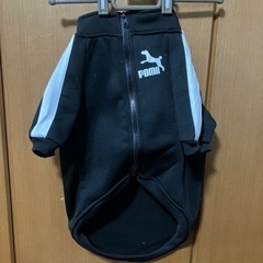 ドッグウェア⑥