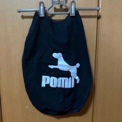 ドッグウェア⑦