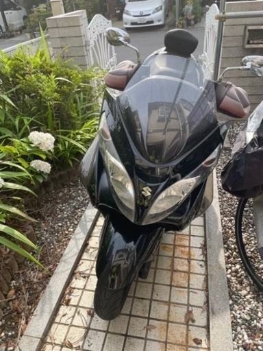 スカイウェブ250Mタイプ