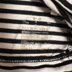 ボーダー半袖Tシャツの画像