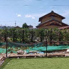 🍓 剪定  お庭再生🙂 植木🪚✂️作業💈         - 剪定/造園