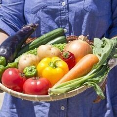 【時給1050～1313円】給与前払い制度あり♪《スーパーで取り扱っている食料品をメイン》仕分け作業のお仕事★男女活躍中！　js0017の画像
