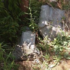 庭石 造園 和モダン 石の画像
