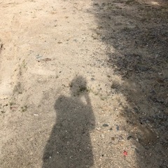 駐車場　月極　激安　の画像