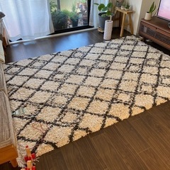 235✖️167サイズラグ