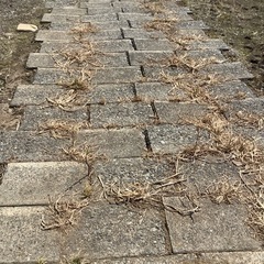 畦畔ブロック　１００枚以上の画像