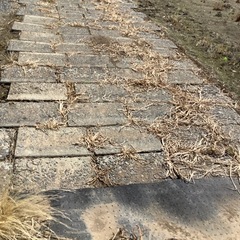 畦畔ブロック　１００枚以上の画像