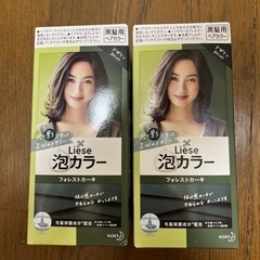 Liese 泡カラー フォレストカーキ 2個