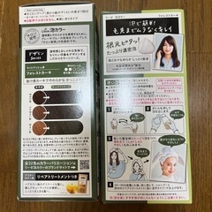Liese 泡カラー フォレストカーキ 2個の画像