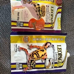 爬虫類のエサ