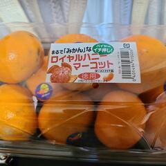 お近くの方!