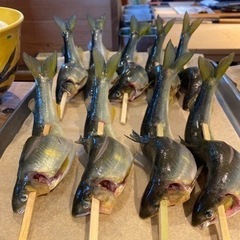 キッチンスタッフ、ホールスタッフの画像