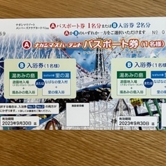 （お値下げ）長島スパーランド　または　湯あみの島/なばなの里
