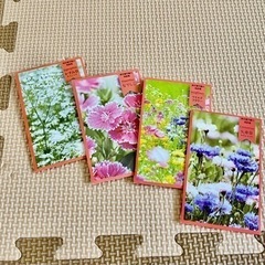 【終了】花の種　4種類