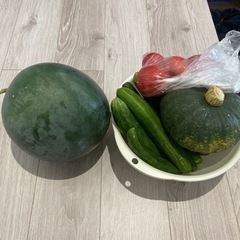 夏野菜　スイカ　かぼちゃ