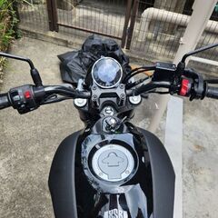 ヤマハ XSR155の画像