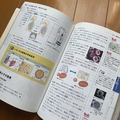 【旺文社　中学総合的研究　理科】理科が好きになるひみつ