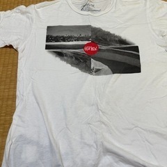 Tシャツ2枚、デニム風ハーパンの画像