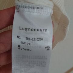 リブTシャツの画像