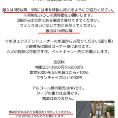 N’sマルシェinカインズ浜松市野店 - 浜松市