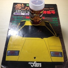 ランボルギーニ特集号です。の画像