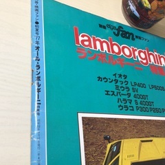 ランボルギーニ特集号です。の画像