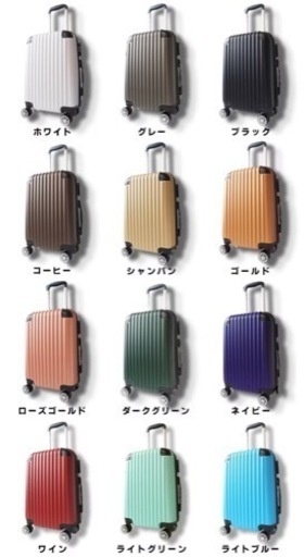 キャリアケース！２点セット‼︎激安です！今月中だけ送料無料！