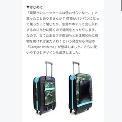 大容量スーツケース、ソフトタイプです。ホリエモンコラボ商品 75L