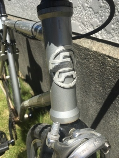 ピストバイク　アレスバイクループホールフレーム
