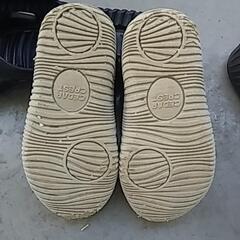 16センチの画像