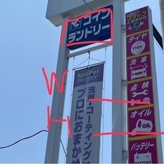 現地調査