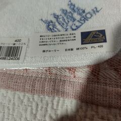 ワールドポロミニタオル2枚セットの画像