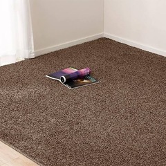 カーペット 50枚