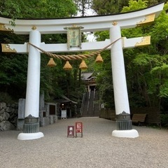 神社仏閣巡り一緒に行きませんか？⛩️