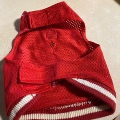 ペットの服の画像