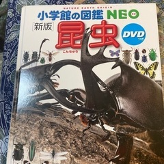 昆虫図鑑