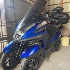低走行車 YAMAHAトリシティ155 普通免許の画像