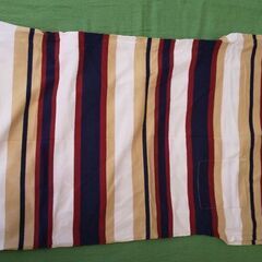 ストライプのチュニックです。の画像