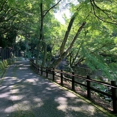 東海圏既婚グルチャのメンバー募集してます✨