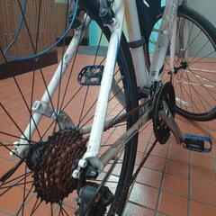 TREK7.3FX 白の画像