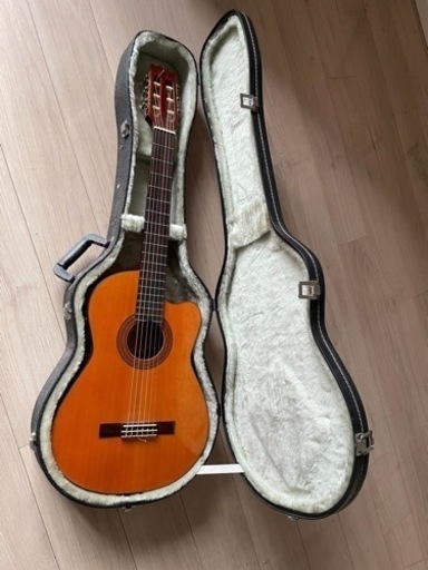 (取引中)ARIA Elecord CE60 & POLYTONE Mini Brute II