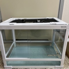 パンテオンの中古が安い！激安で譲ります・無料であげます(7