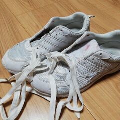 瞬足24.5cm どうせすぐ履けなくなる子供の内履きなんて買うの...